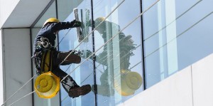 Window cleaner